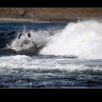 surf0023