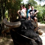 thailand022
