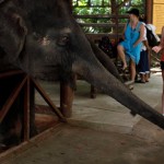 thailand025
