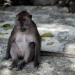 thailand035