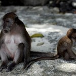 thailand036